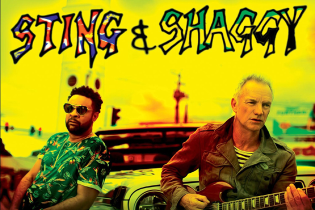 Sting Shaggy nl cannes